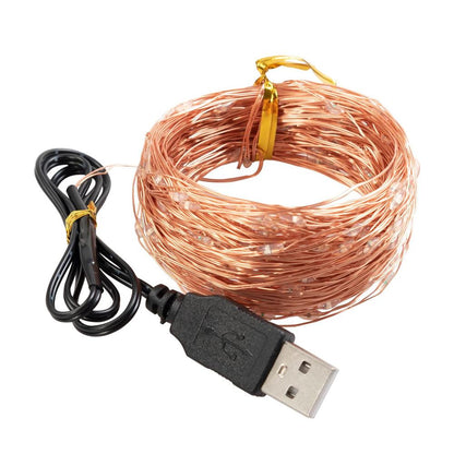 1M 10 LED Copper Wire String Lights USB Plug-in Fairy Lights