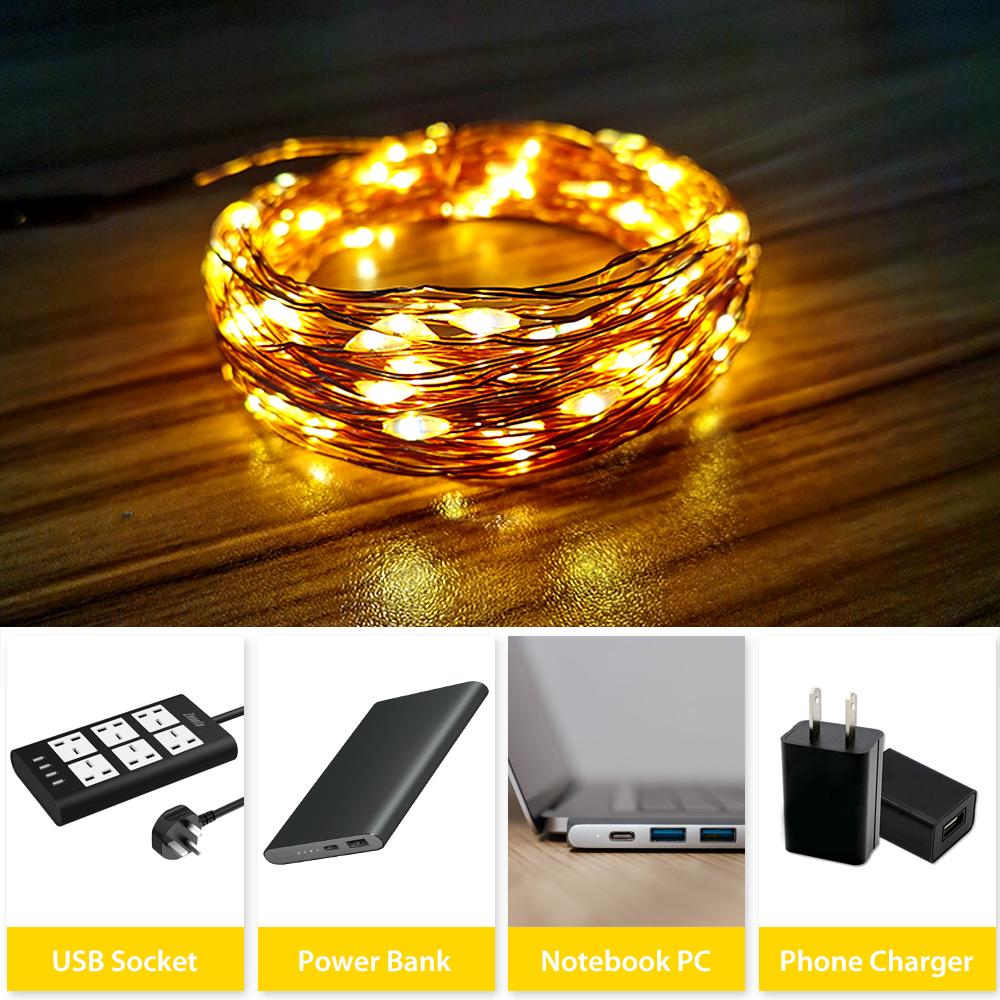 1M 10 LED Copper Wire String Lights USB Plug-in Fairy Lights